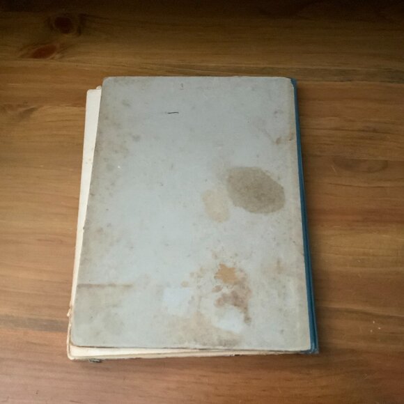 VINTAGE BOOK - 1932 - THE LIFE OF OUR LORD - SCRIPTURE STORIES FOR CHILDREN - Picture 10 of 12